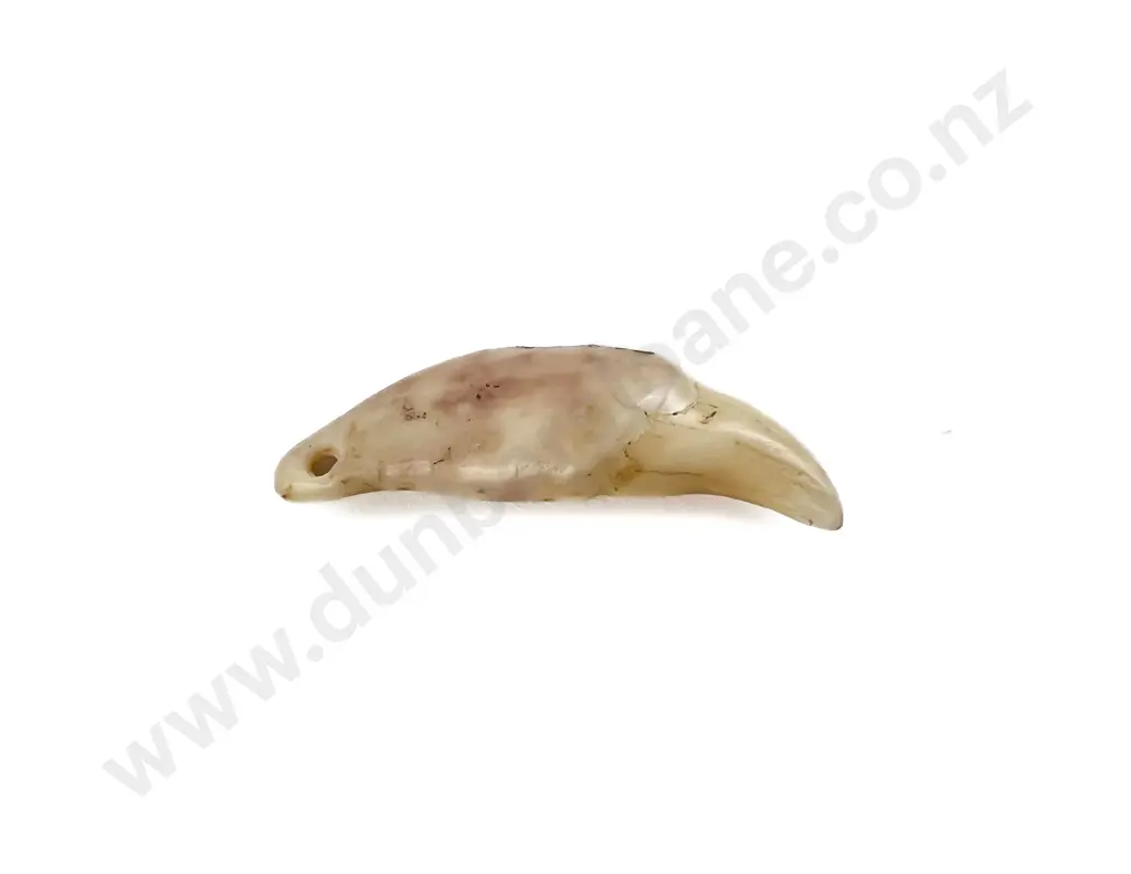A Kuri Dog Tooth Pendant Image 1++