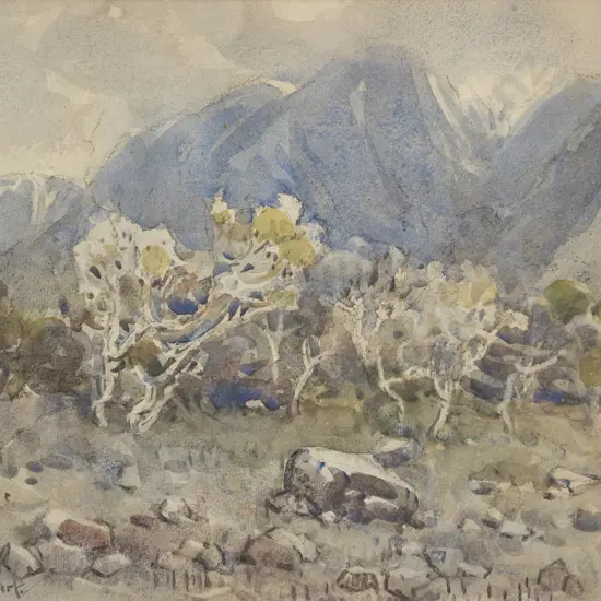 Margaret Olrog Stoddart (1865 - 1934) - South Island Landscape