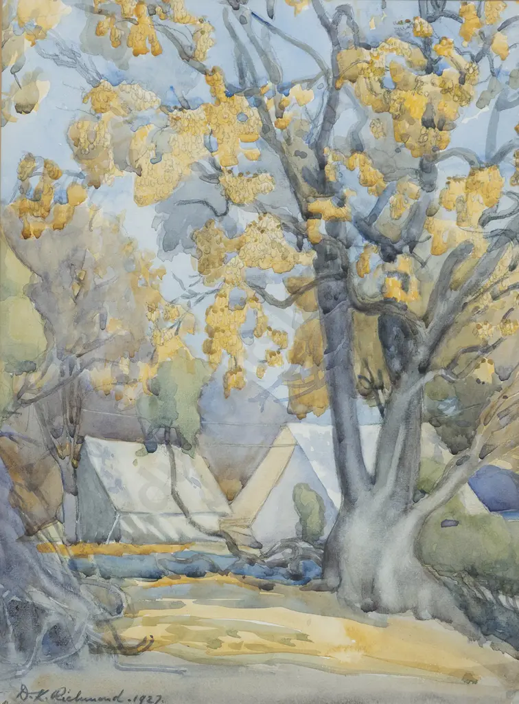 Dorothy Kate Richmond (1861 - 1935) - Kowhai Trees in Flower Image 1++