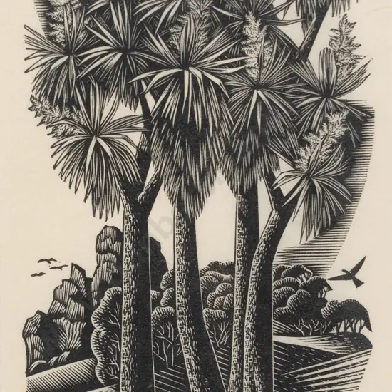 E Mervyn Taylor (1906 - 1964) - Ti Kouka