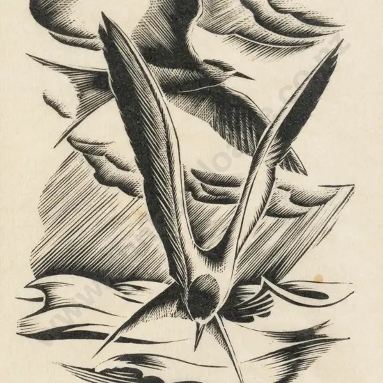 E Mervyn Taylor (1906 - 1964) - Terns
