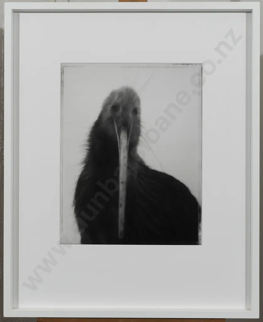 Fiona Pardington (b 1961) - Sweet Kiwi Image 1++