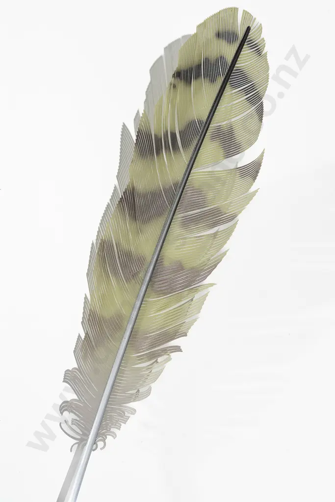 Neil Dawson (b 1948) - Kakapo Feather 800 Image 1++