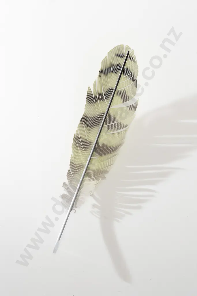 Neil Dawson (b 1948) - Kakapo Feather 800 Image 1++