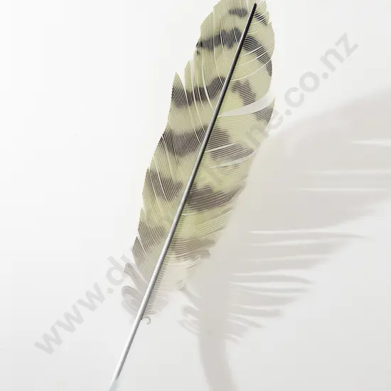 Neil Dawson (b 1948) - Kakapo Feather 800
