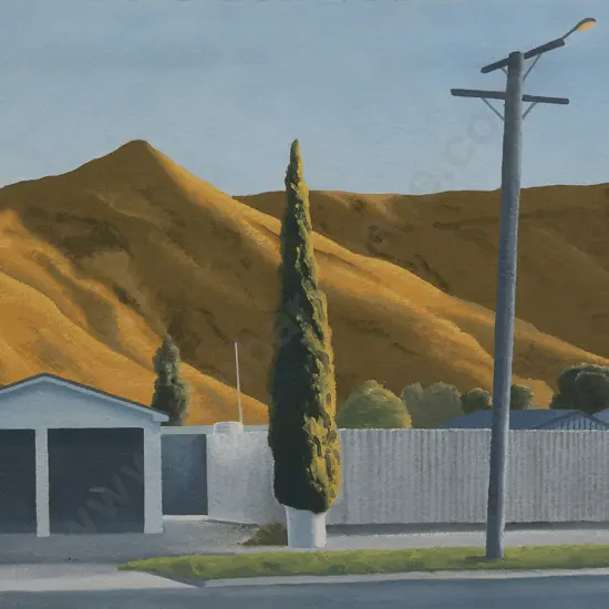 Peter Ireland (b1947) - Gisborne Stations Study