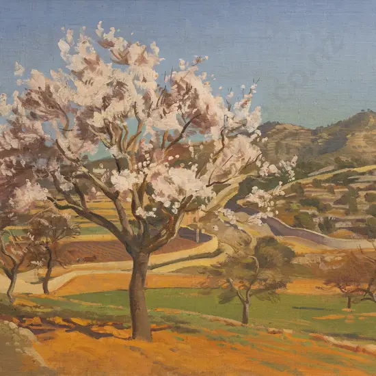 Cedric Savage (1901 - 1969) - Vineyards of Barcelona