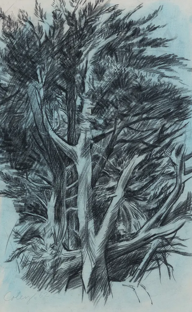 John Coley (b 1935) - Untitled (Tree Study) Image 1++