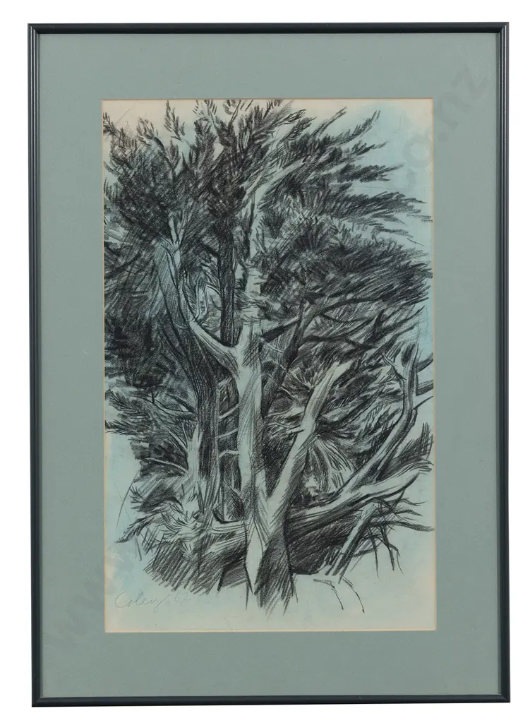 John Coley (b 1935) - Untitled (Tree Study) Image 1++
