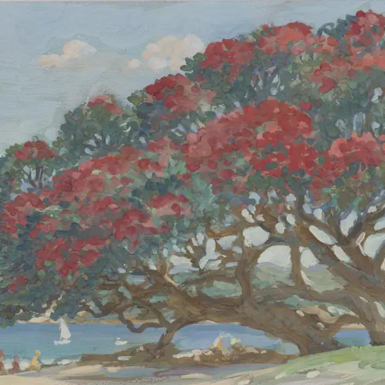 Kathleen Airini Vane (1891 - 1965) - Coastal Pohutakawa