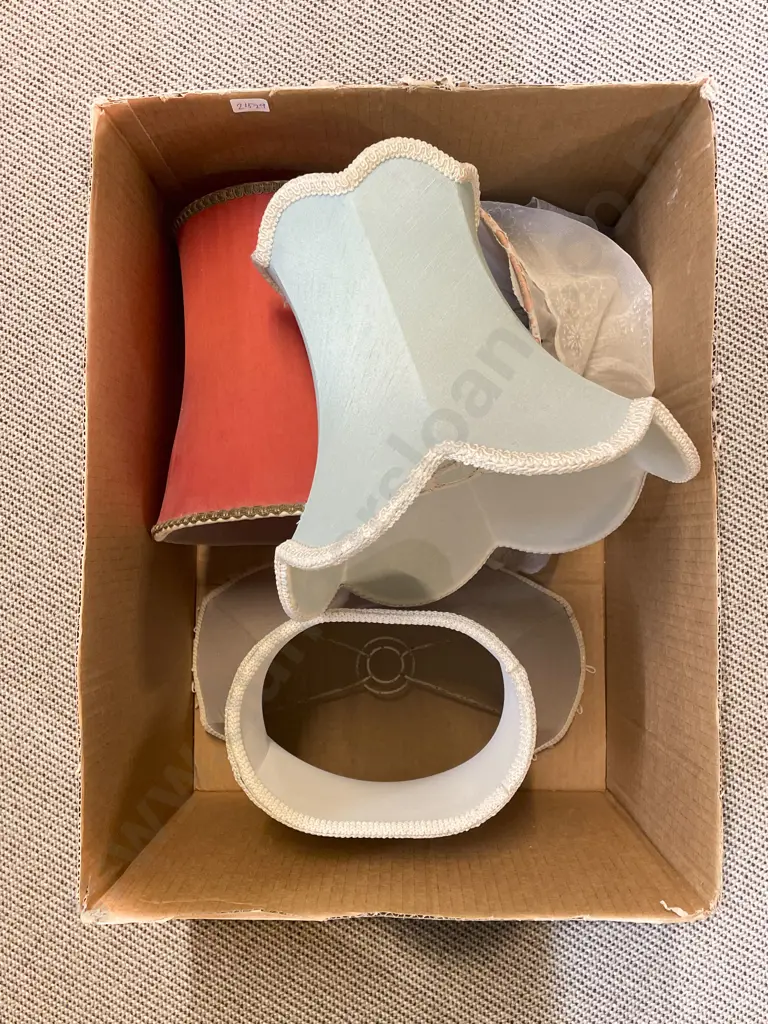 Two Boxes of Assorted Lamps and Shades Image 1++