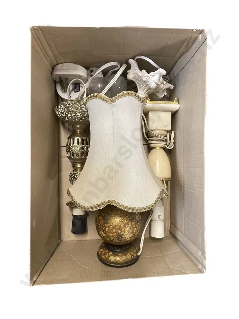 Two Boxes of Assorted Lamps and Shades Image 1++