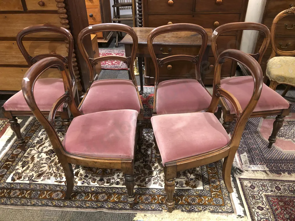 Set of Six WMIV Mahogany Dining Chairs Image 1++
