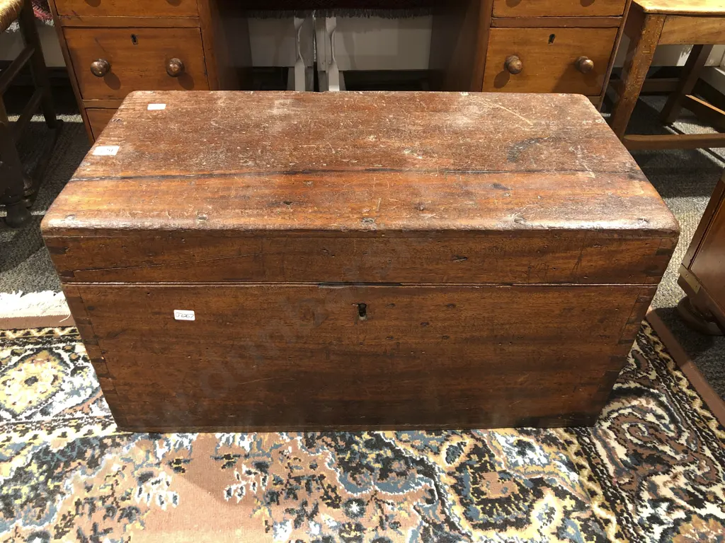 Small C19th Camphor Wood Trunk Image 1++
