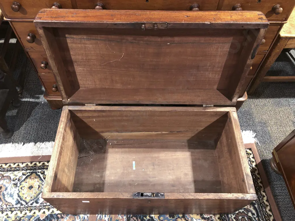 Small C19th Camphor Wood Trunk Image 1++