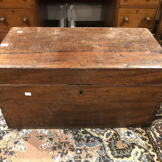 Small C19th Camphor Wood Trunk