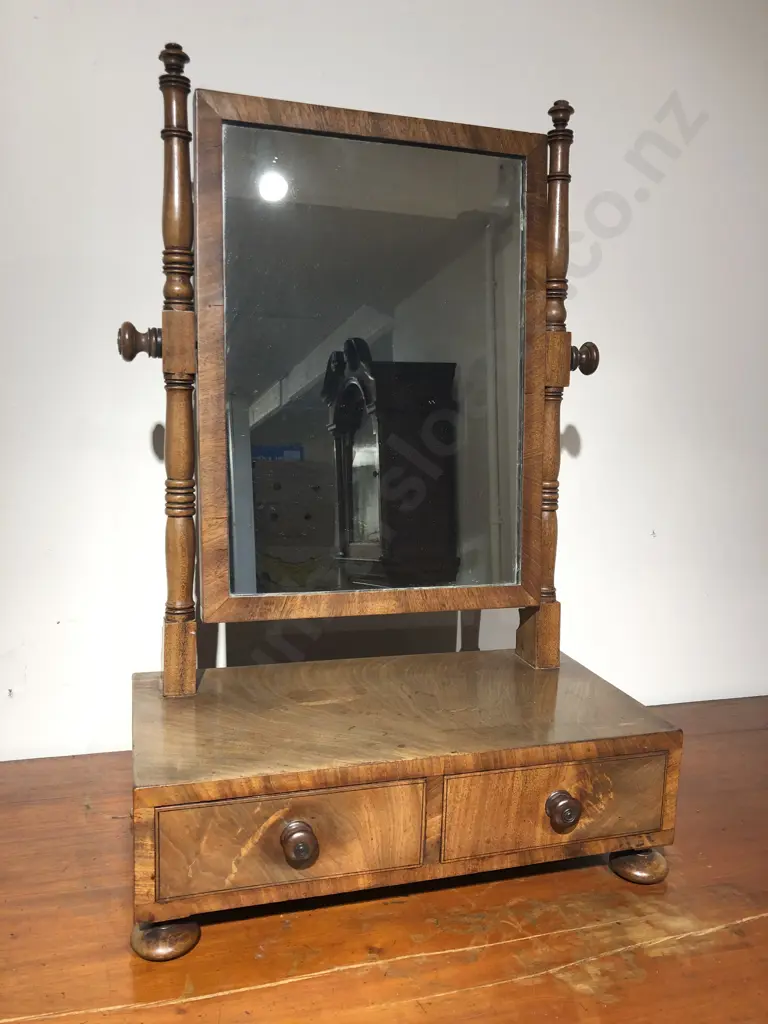 WMIV Mahogany Swing Toilet Mirror Image 1++