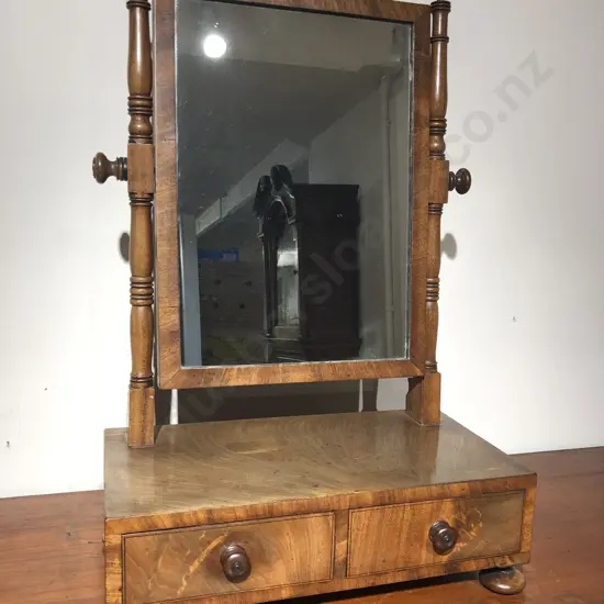 WMIV Mahogany Swing Toilet Mirror
