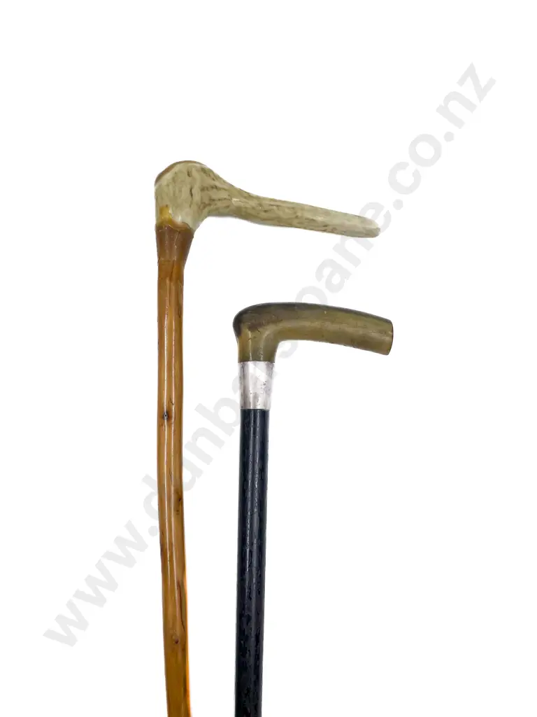 Horn and Antler Handled Walking Sticks Image 1++