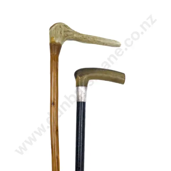 Horn and Antler Handled Walking Sticks