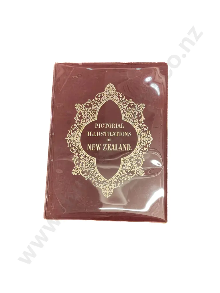 Pictorial Illustrations of New Zealand Image 1++