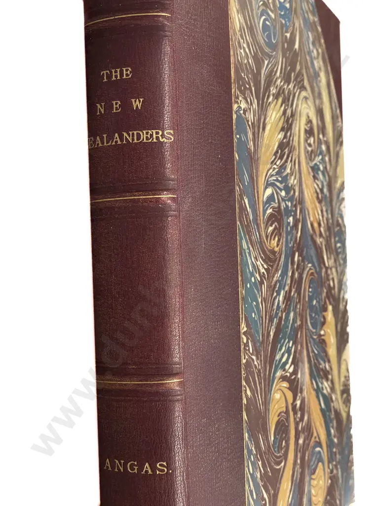 The New Zealanders Illustrated by G.F. Angus Image 1++