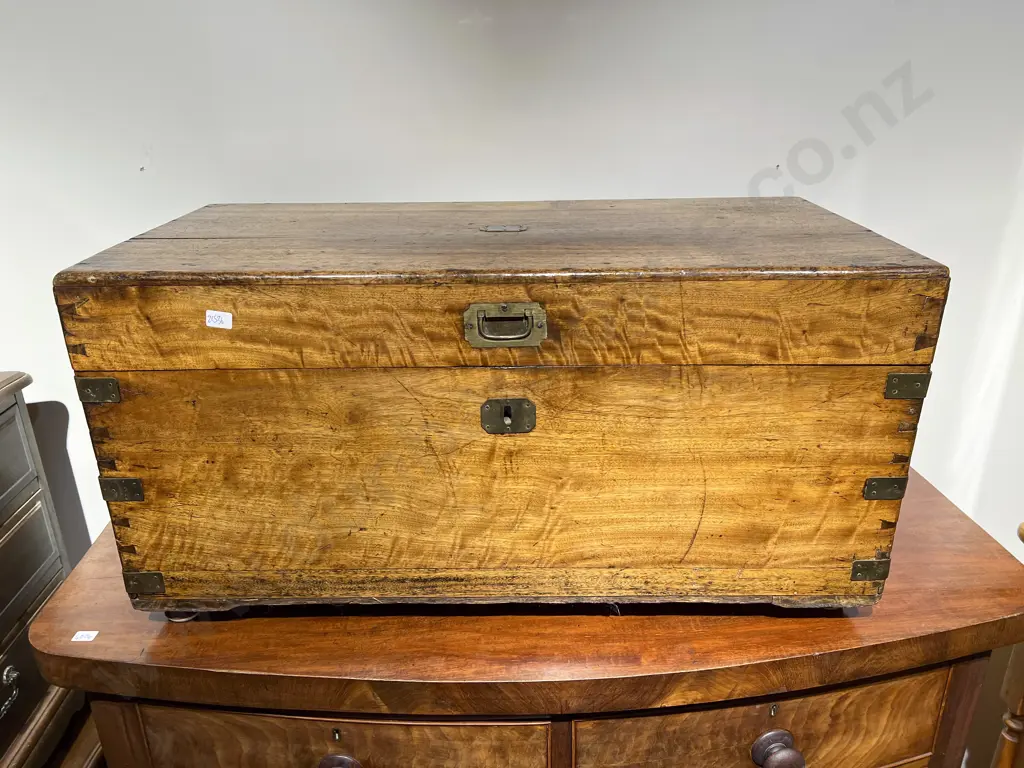 Early C19th Camphor Wood and Brass Bound Sea Chest Image 1++