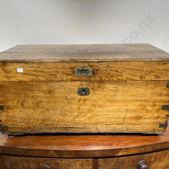 Early C19th Camphor Wood and Brass Bound Sea Chest