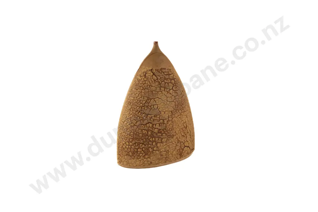 Large Richard Cadness Specimen Vase Image 1++