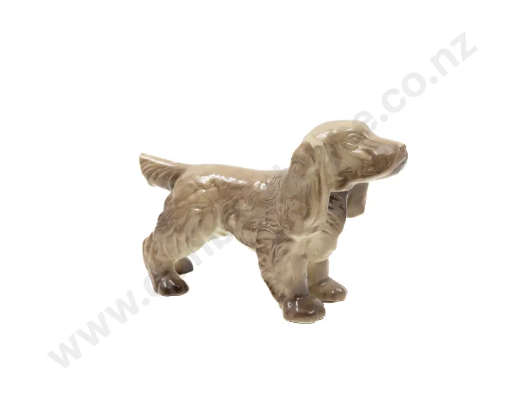 Crown Lynn Spaniel Image 1++