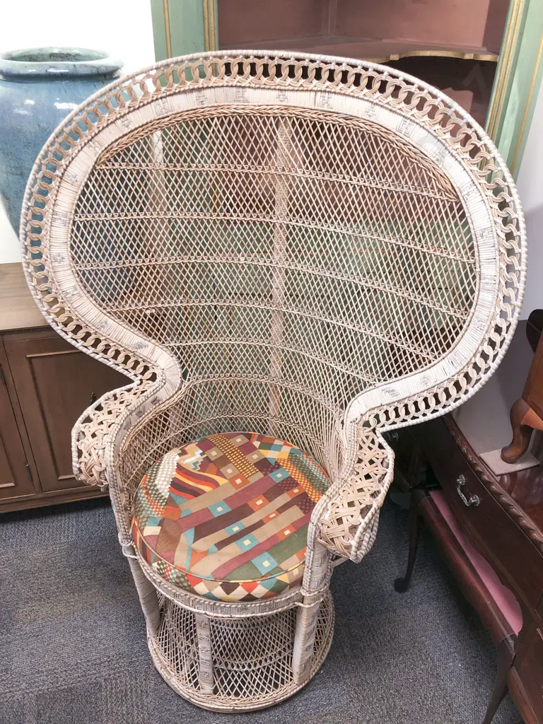 Mid Century Cane Peacock Chair Image 1++