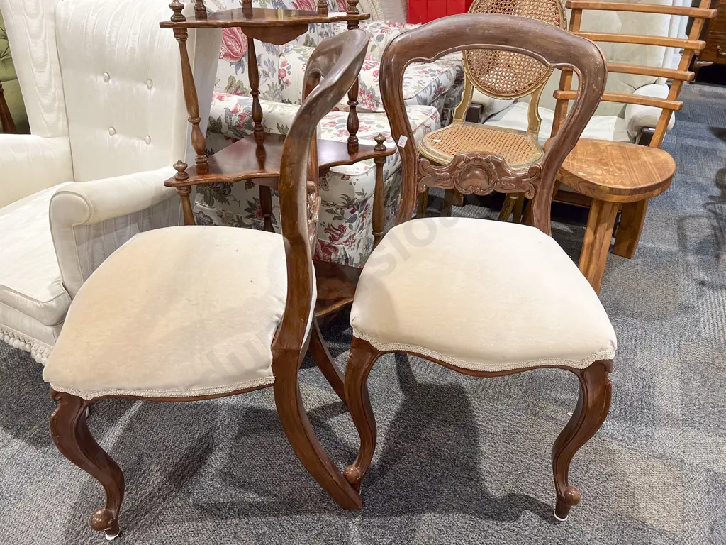 Pair of Mahogany Balloon Back Dining Chairs Image 1++