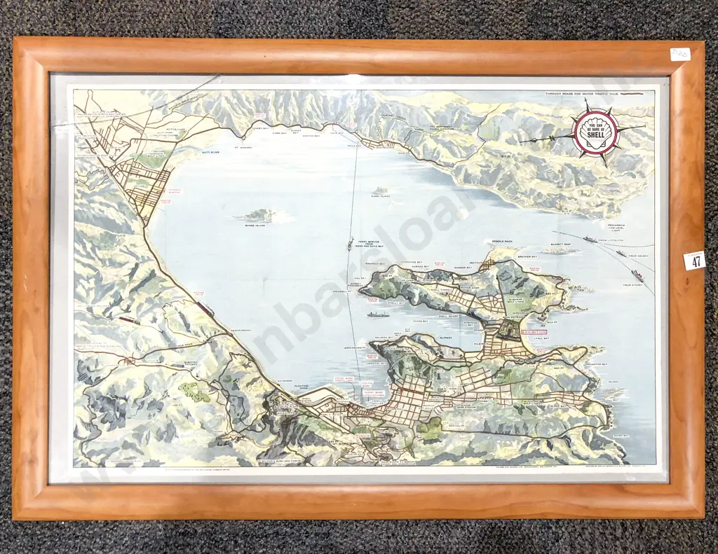 Vintage "Shell" Coloured Map of Wellington Image 1++