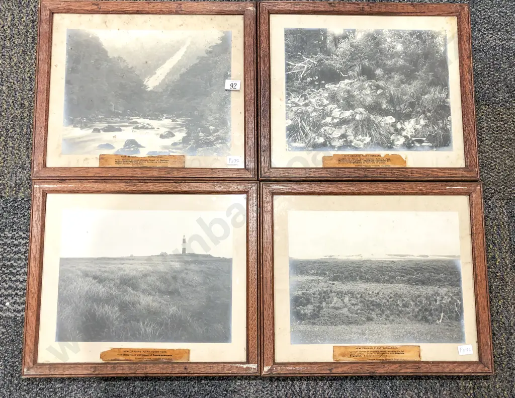 Eight Vintage Oak Framed Photographs of Various NZ Nature Formations Image 1++