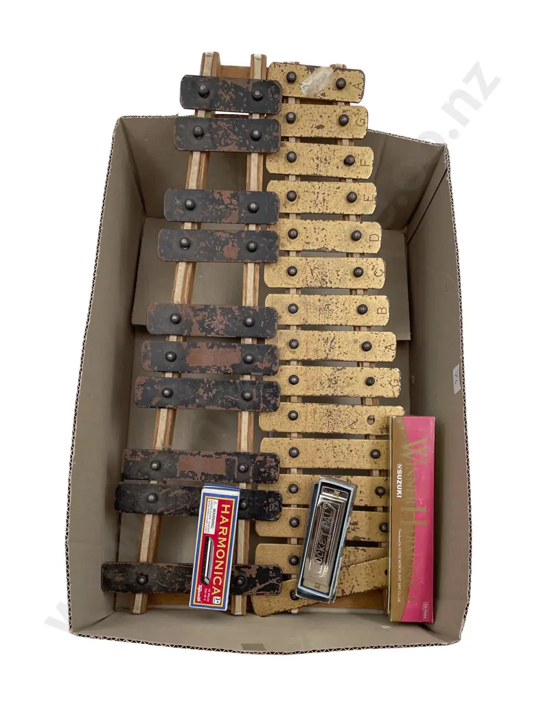 Box of Assorted Vintage Musical Instruments Image 1++