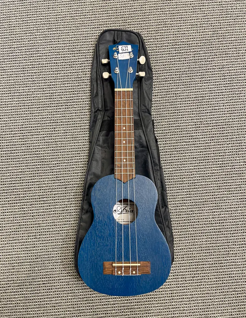 Ukulele and Carrying Bag Image 1++