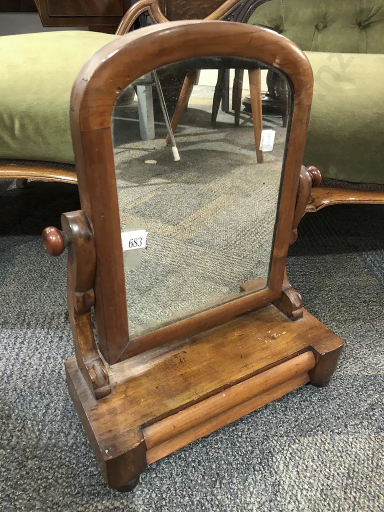 Swing Toilet Mirror Image 1++