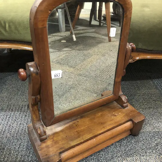 Swing Toilet Mirror