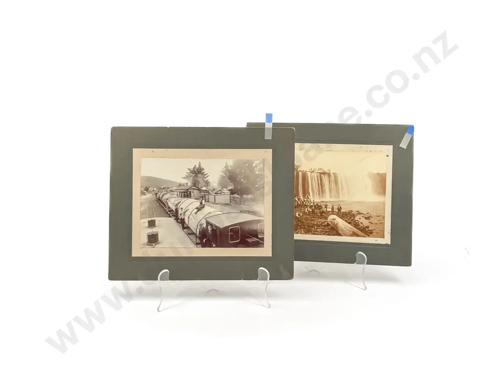 Early C20th Twelve Photographs Depicting Logging and Scenes Image 1++