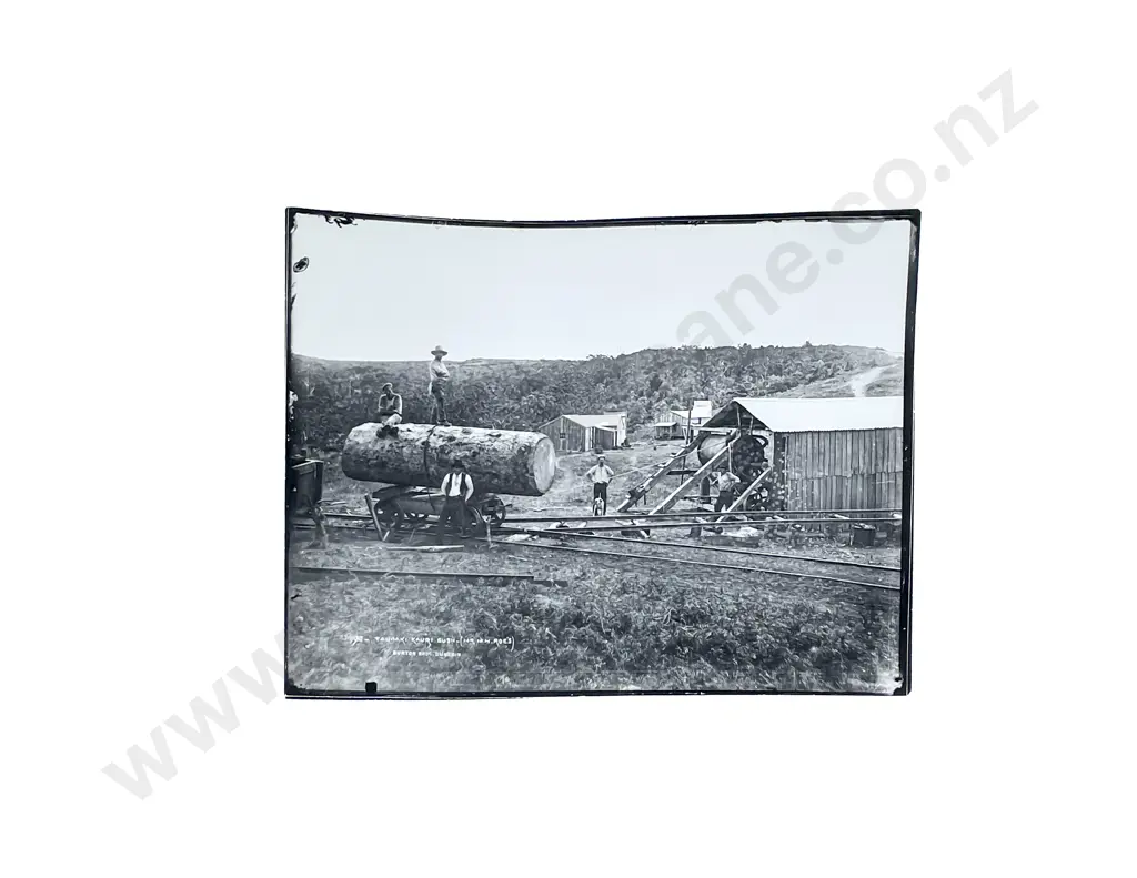 Collection 15 Period Photographic Prints by Muir and Moody and other Photographers Image 1++