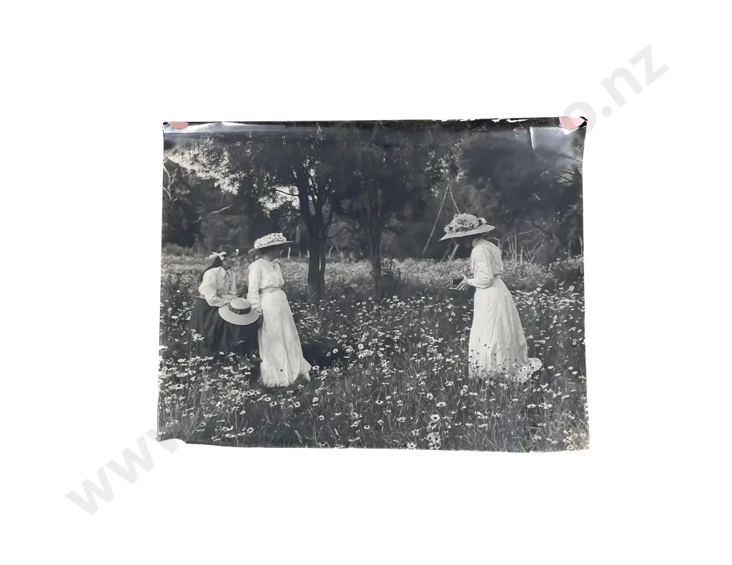 Collection Studio Portrait Study Photographic Prints and Assorted Image 1++