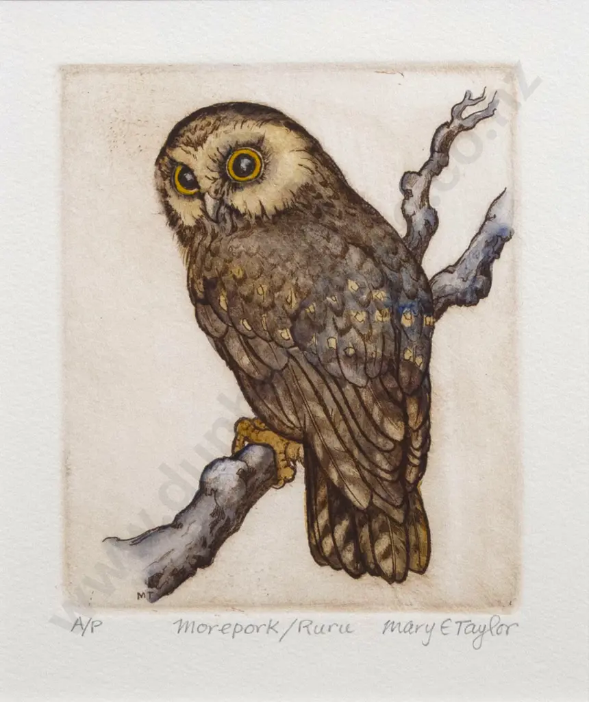 Mary Taylor - Morepork/Ruru Image 1++