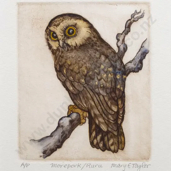 Mary Taylor - Morepork/Ruru