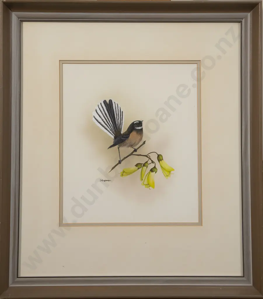 Janet Marshall (b 1947) - Fantail on Kowhai Image 1++