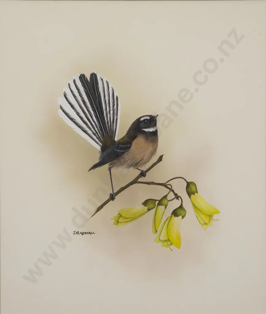 Janet Marshall (b 1947) - Fantail on Kowhai Image 1++