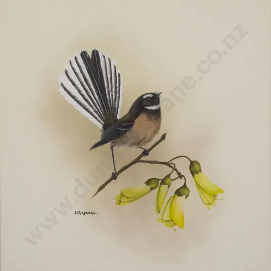 Janet Marshall (b 1947) - Fantail on Kowhai