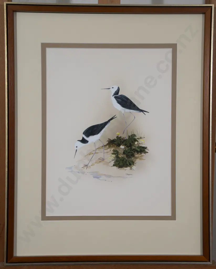 Janet Marshall (b 1947) - Pied Stilts Image 1++