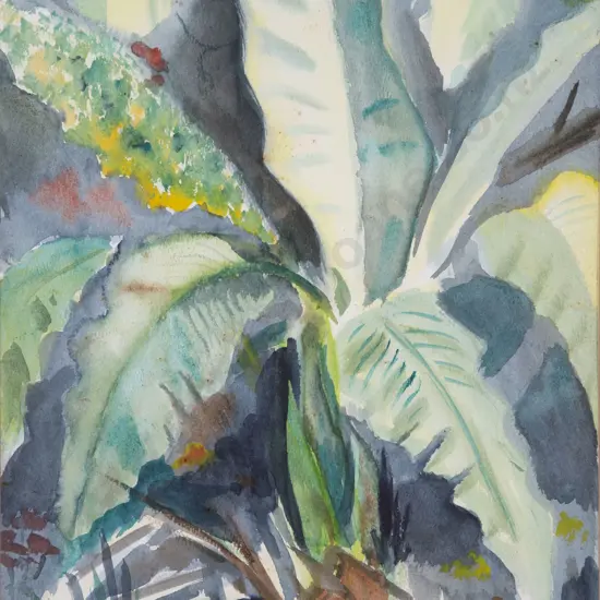 John Pine Snadden (1913 - 1999) - Begonia House III