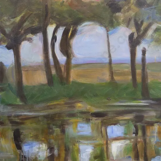 Jolanda Norris - Reflection in River