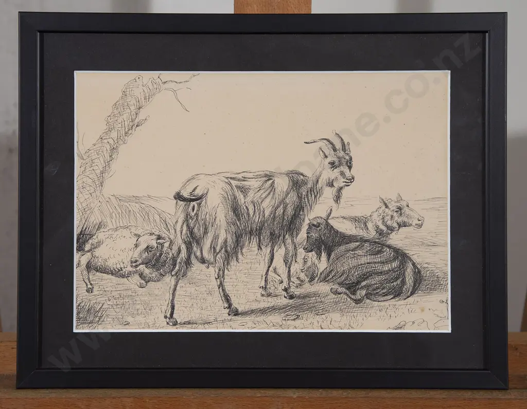 Unknown Artist - Study of Goats Image 1++